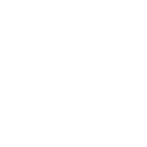 Bugless Digital Logo
